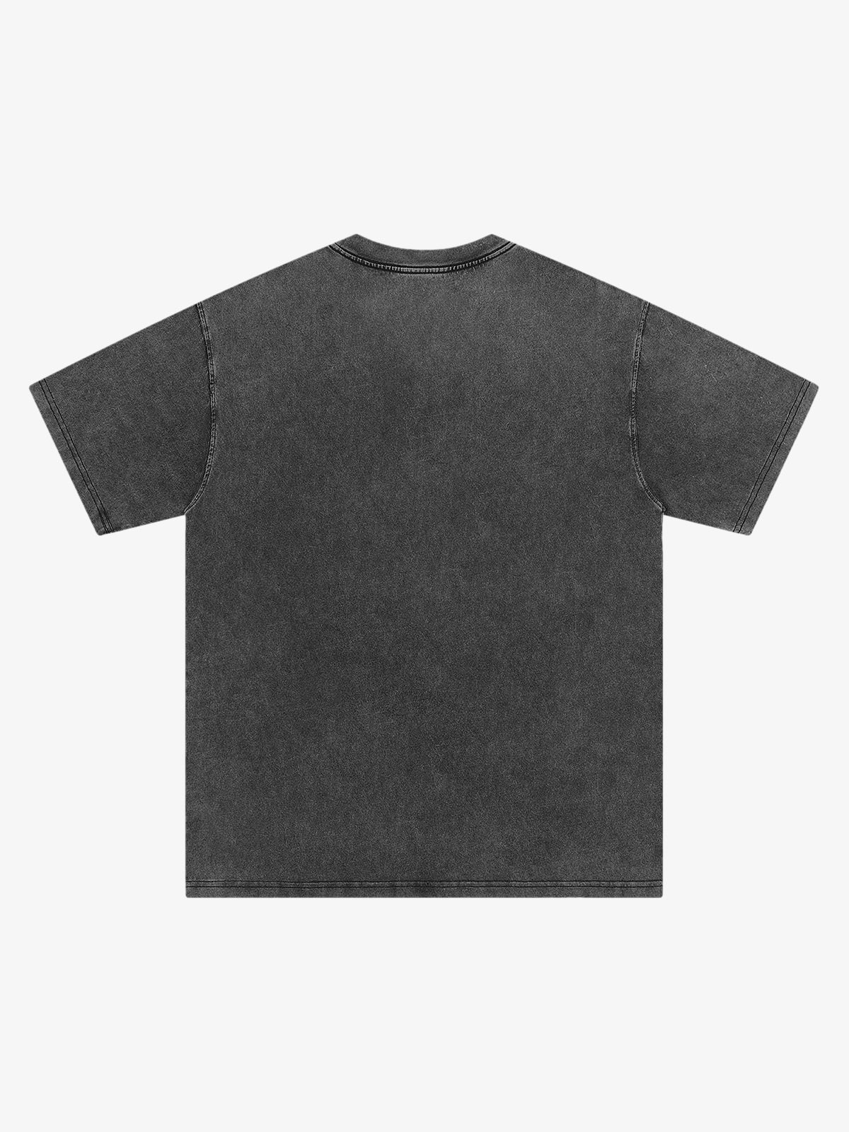 Renaissance Graphic Washed Vintage T-shirt - 2093